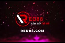 RED88 – Nhà cái cá cược không lừa đảo – Link vào RED88